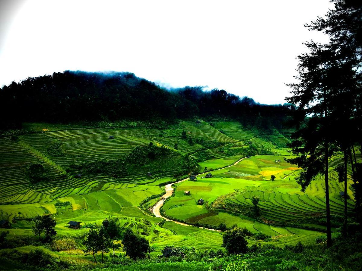 Do Gu Homestay Mu Cang Chai Esterno foto