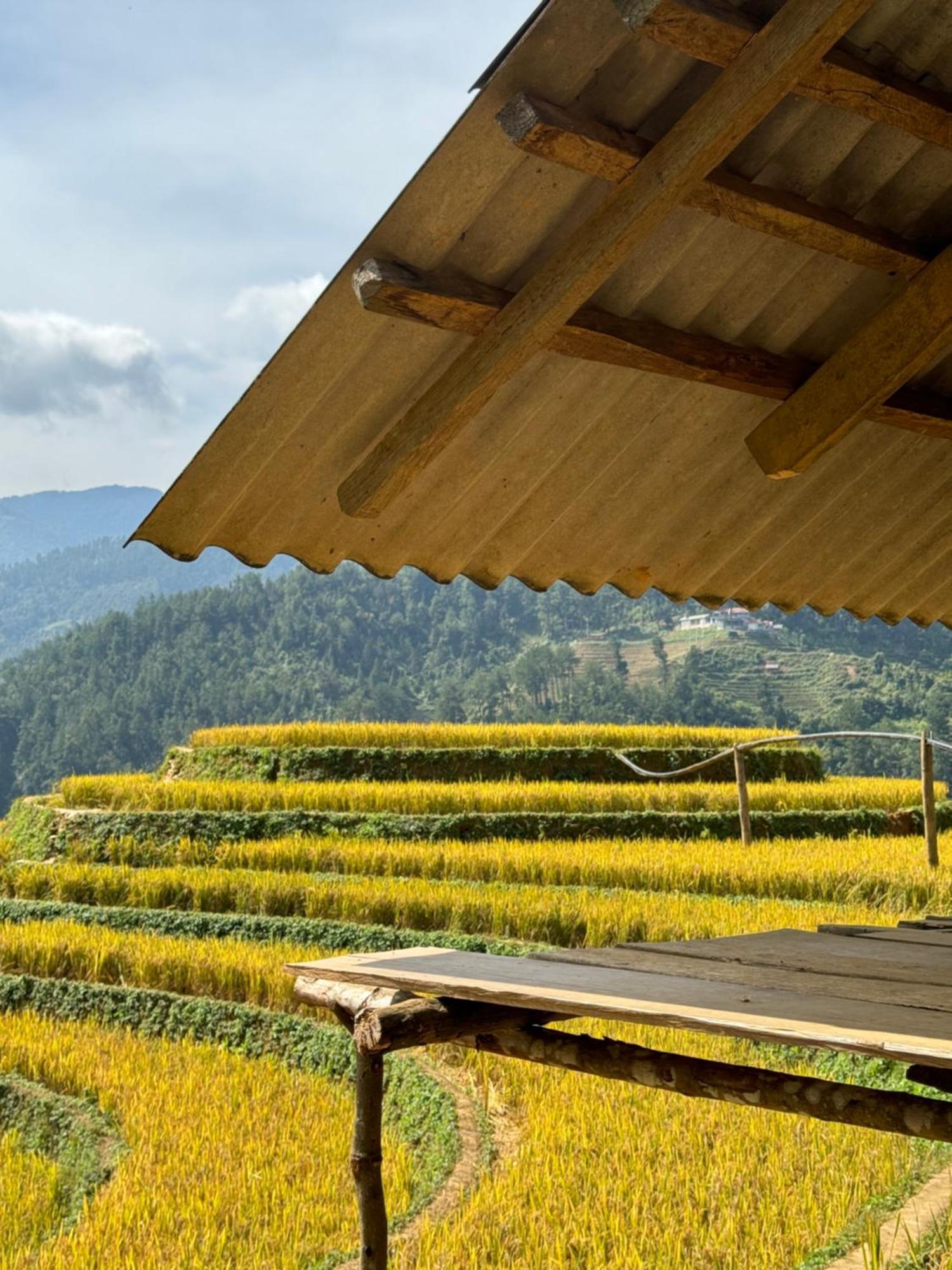 Do Gu Homestay Mu Cang Chai Esterno foto