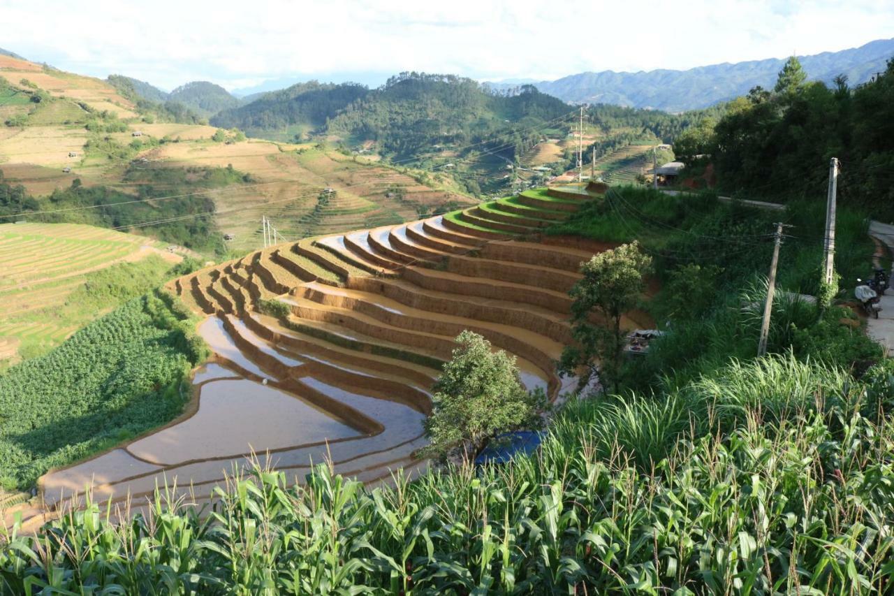 Do Gu Homestay Mu Cang Chai Esterno foto