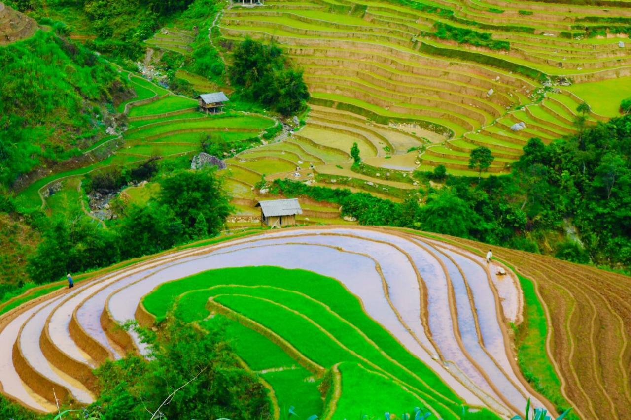 Do Gu Homestay Mu Cang Chai Esterno foto