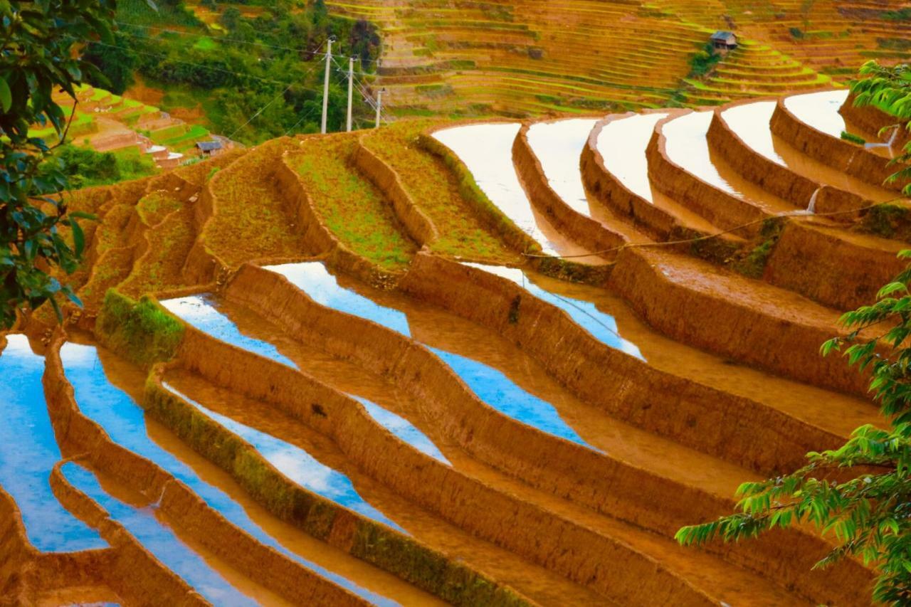 Do Gu Homestay Mu Cang Chai Esterno foto