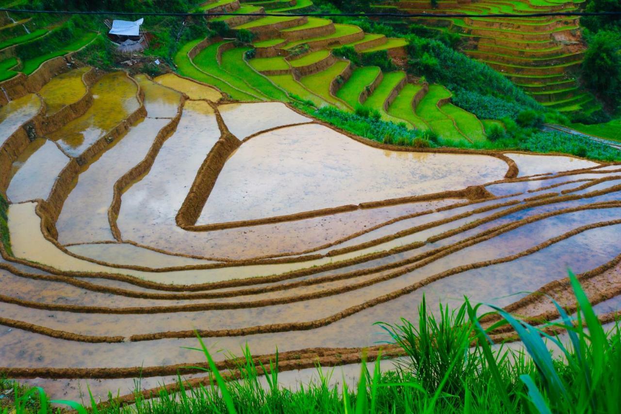 Do Gu Homestay Mu Cang Chai Esterno foto