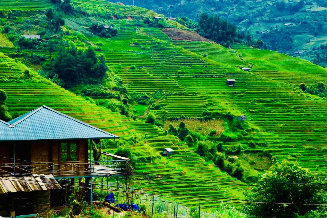 Do Gu Homestay Mu Cang Chai Esterno foto